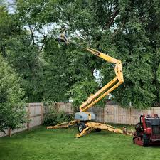 Best Hazardous Tree Removal  in Milton, PA